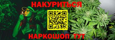 PSILOCYBIN Северобайкальск