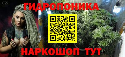 PSILOCYBIN Северобайкальск
