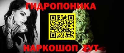 PSILOCYBIN Северобайкальск
